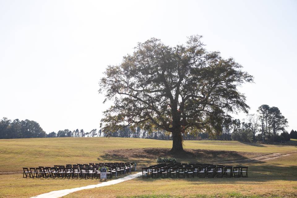 Aiken Horse Farm Wedding