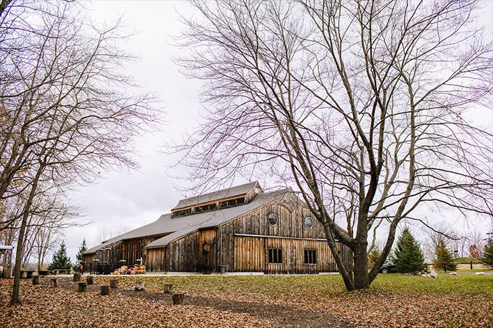 The Log Barn - Clio