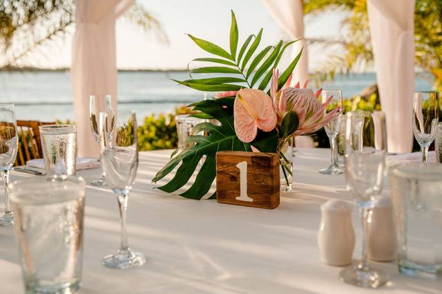 Tropical themes