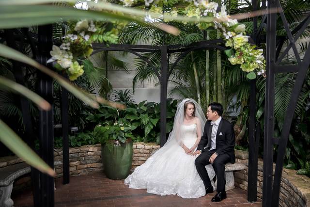 Harry Acosta Photography