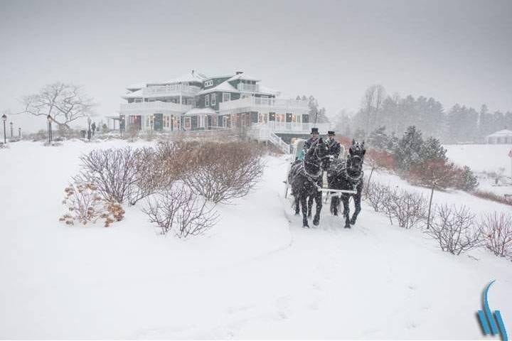 Horse Drawn Carriage Ride