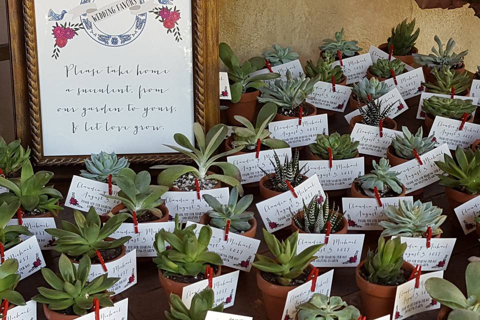 Get creative with your favors... Succulents work well in Southern California - especially with this Frida Kuehlo themed wedding