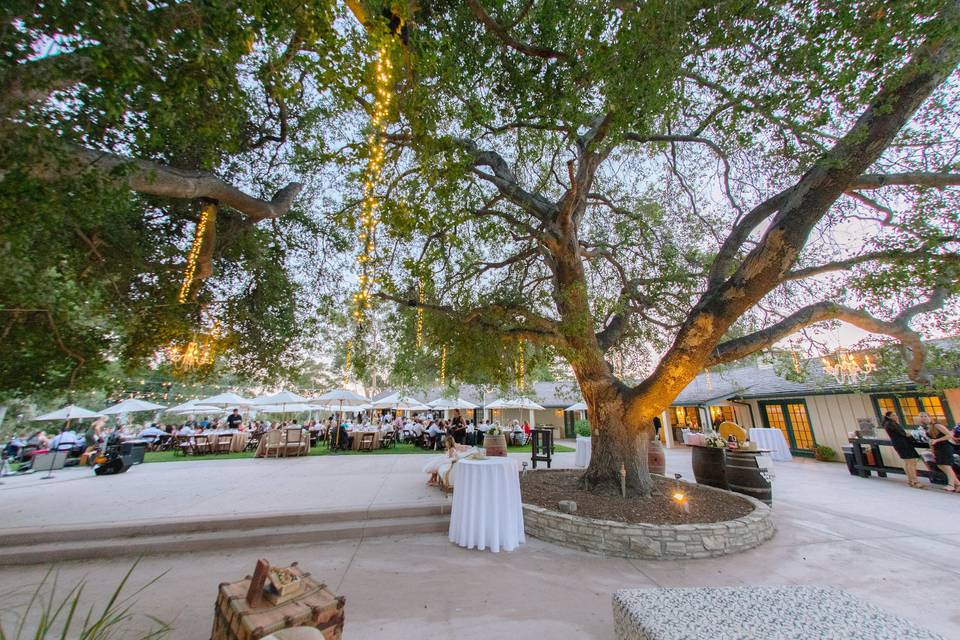 Classy rustic wedding at Upper Las Virgenes Open Space Preserve (Elizabeth Burgi Photography)