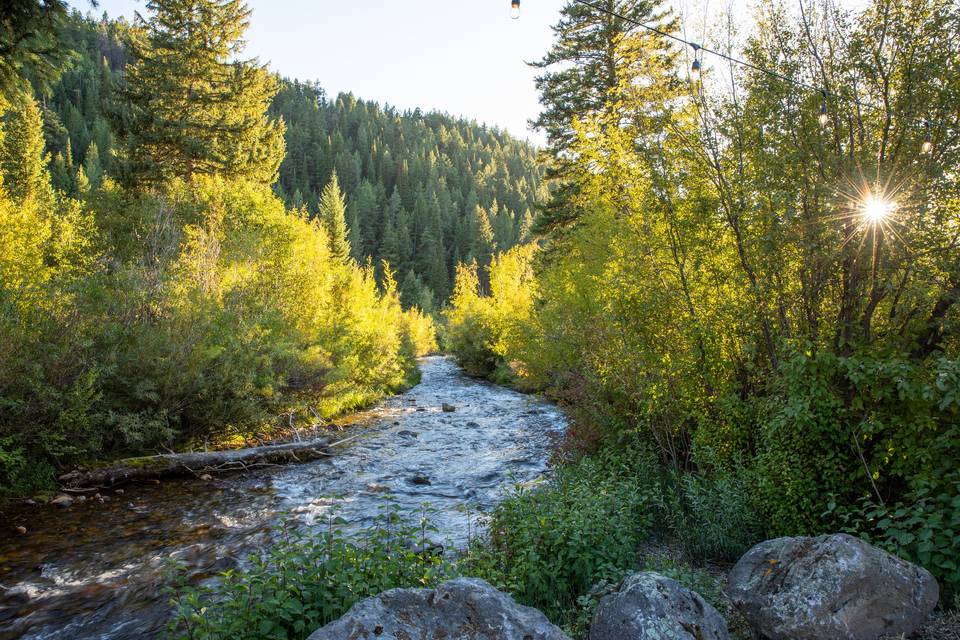 Moose Creek