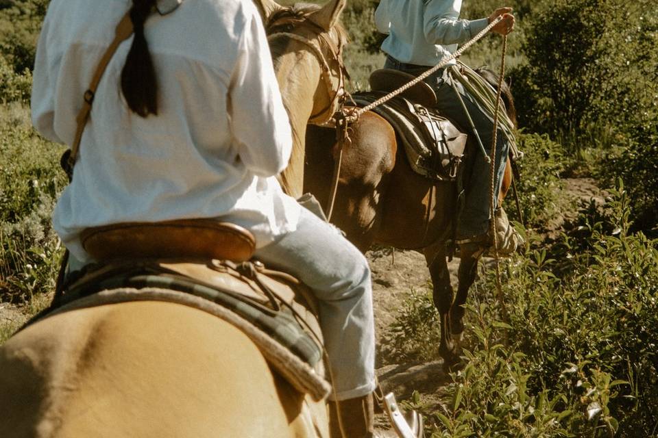 Horseback Riding