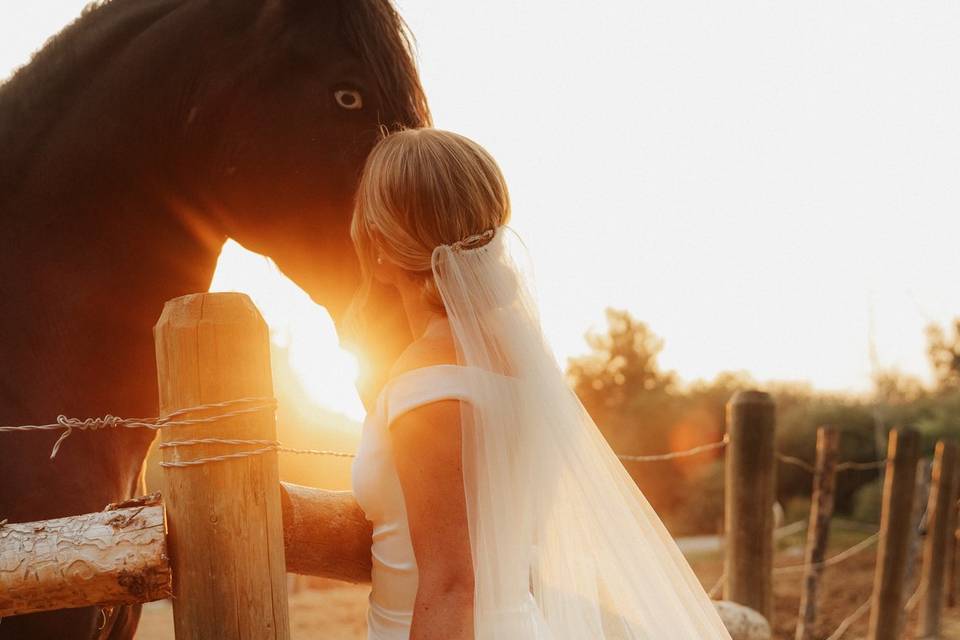 A bride posing with the horses