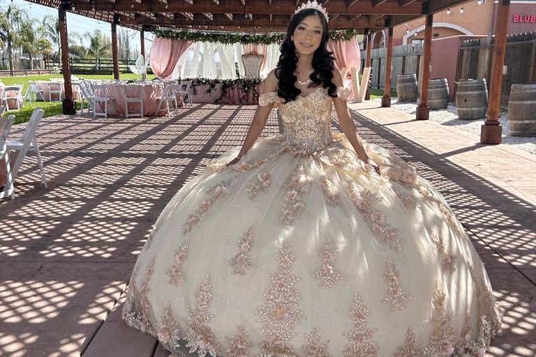 Enchanted Rose