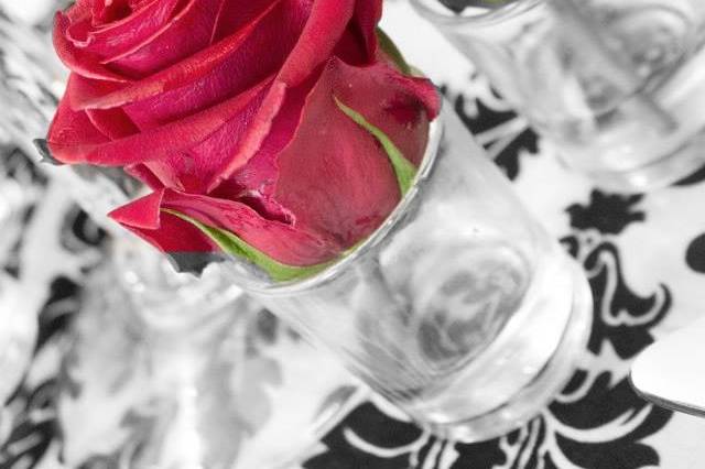 A. G. Photography