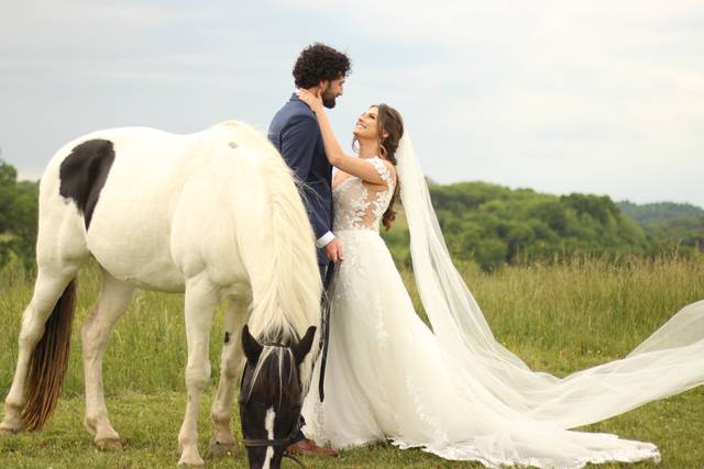 Alan + Ashlyn