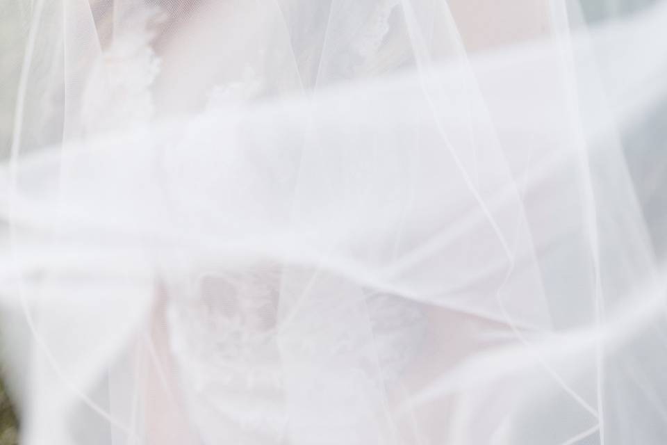 Bride and veil