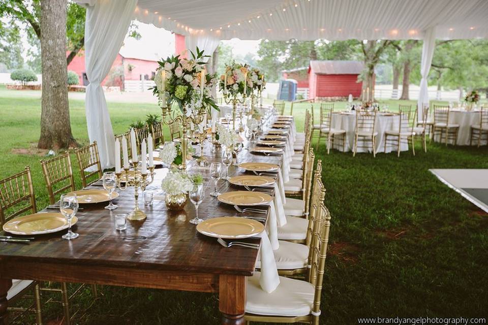 Knights Tent & Party Rental