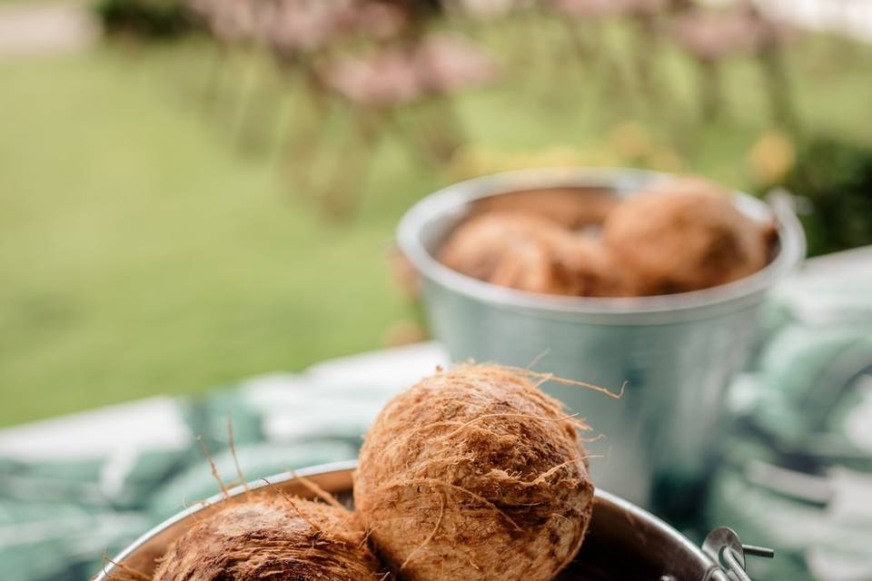 Coconuts to receive guests