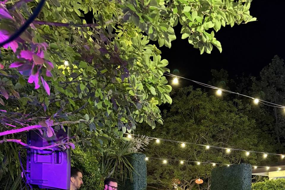 DJ + Live Music