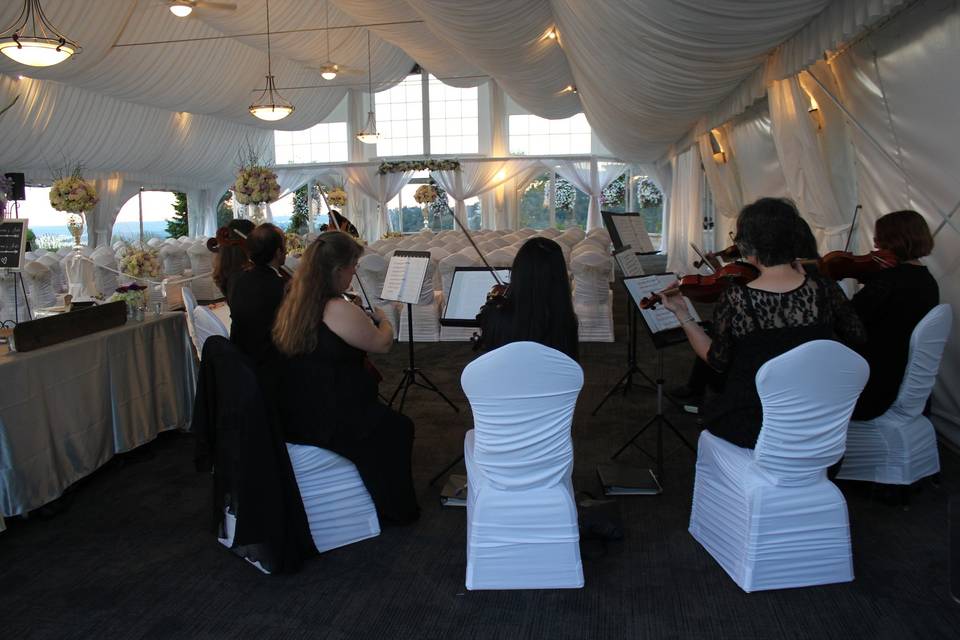 Seattle String Quartet - Wedding Musicians - Seattle