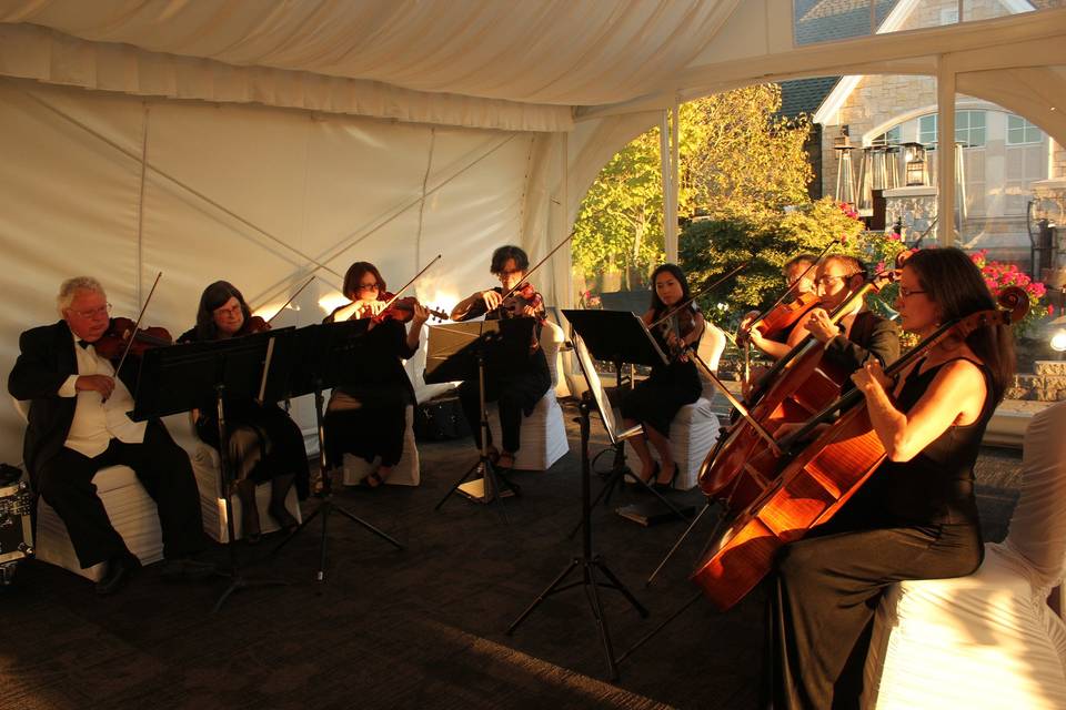Seattle String Quartet