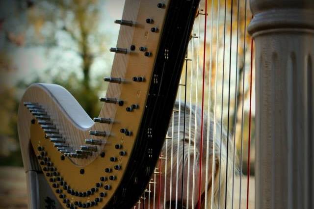 Harp Music by Chelsey