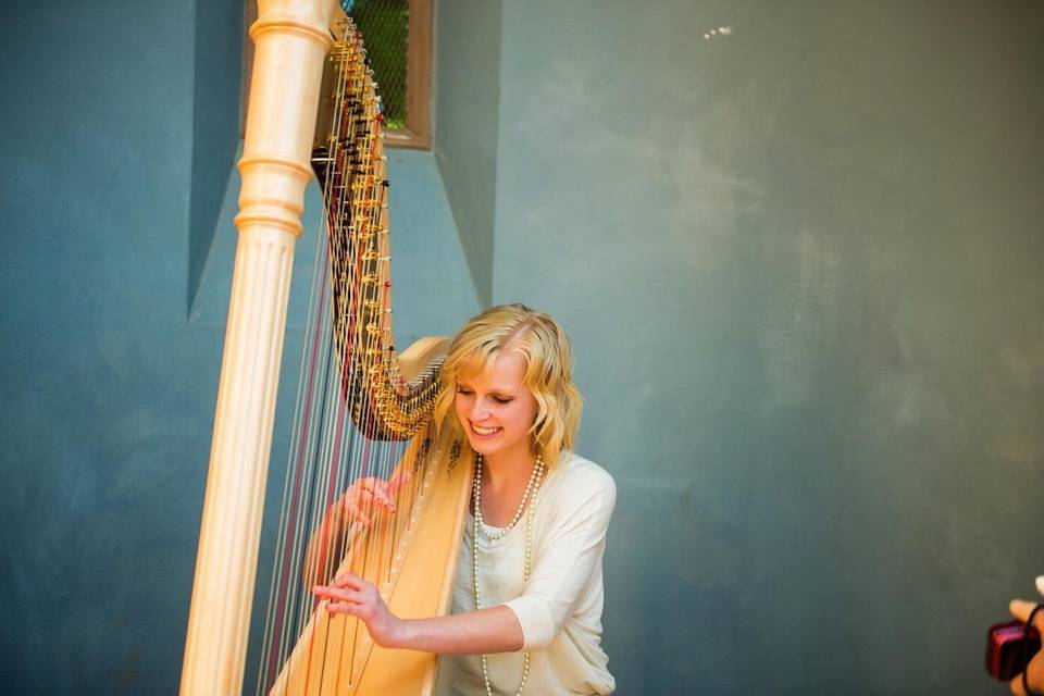 Harp Music by Chelsey