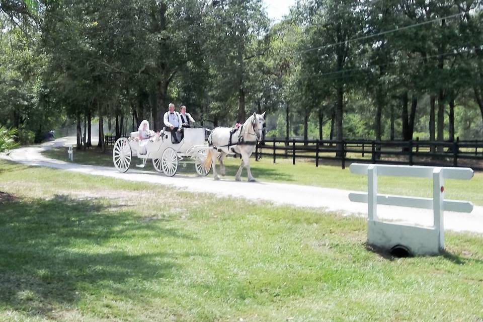 The Oaks Ranch Barn Weddings