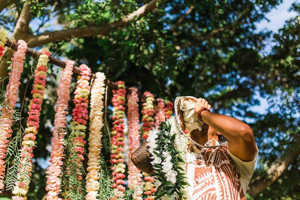 Tropical Hawaiian Ceremony