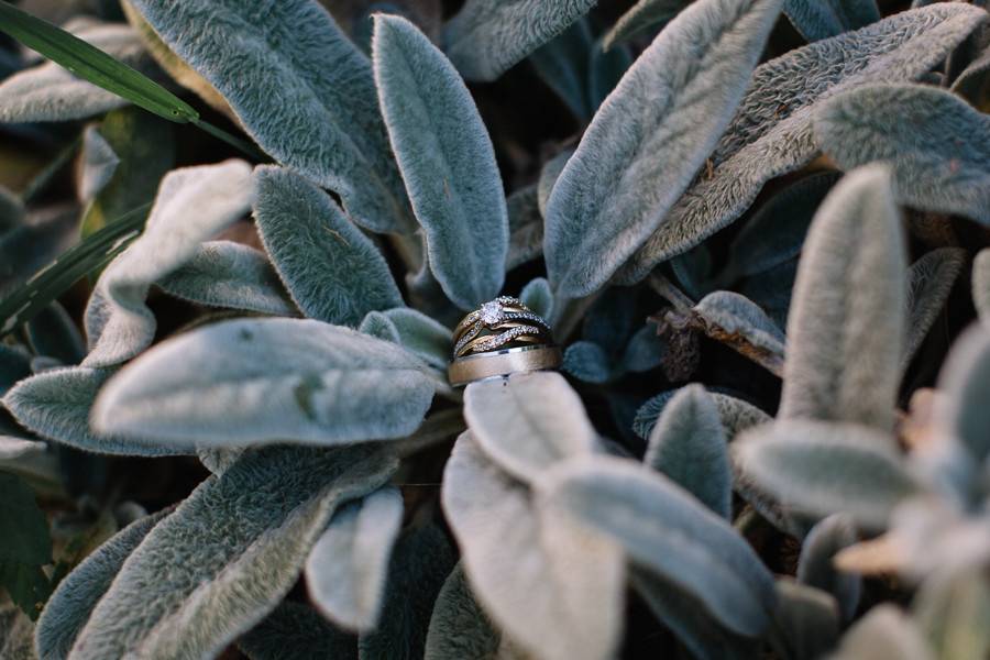 Rings - Katie Ulrich Photo