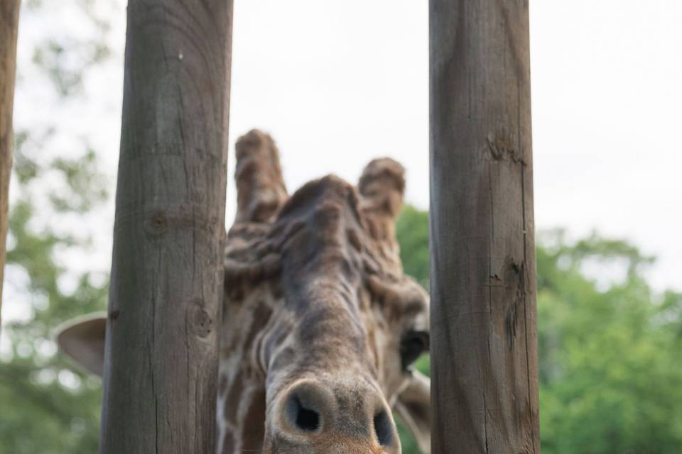 Riverbanks Zoo & Garden