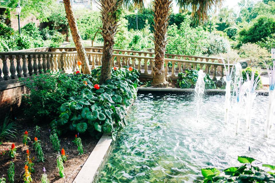 Botanical Gardens - Fountain