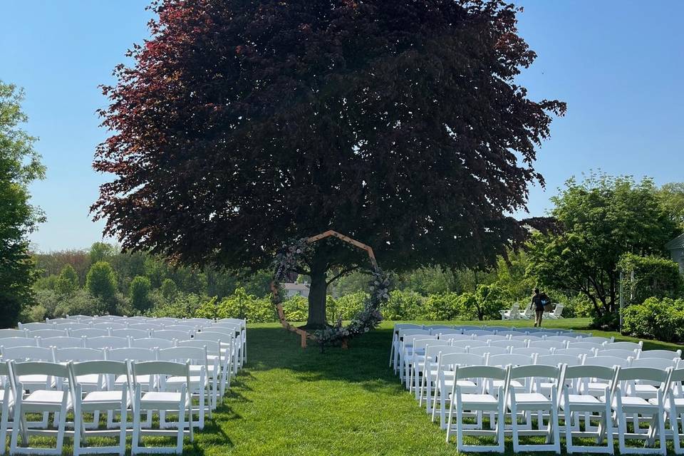 Ceremony by the Tree