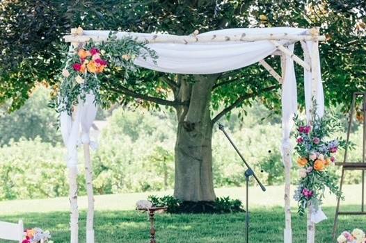White Birch Arbor/Chuppah