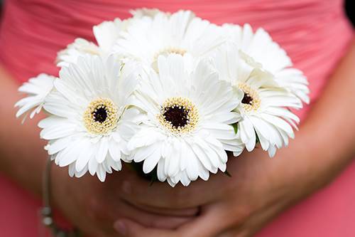 Charlotte Wedding Flowers