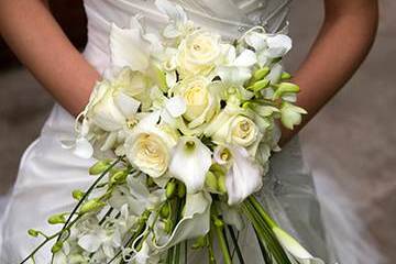 Charlotte Wedding Flowers