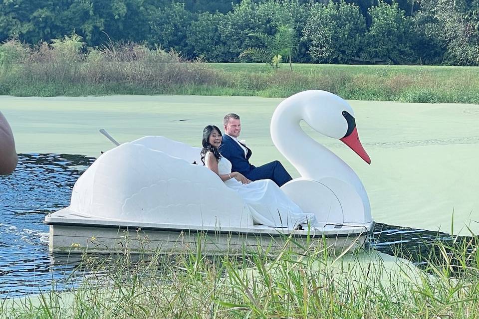 Swan Ride