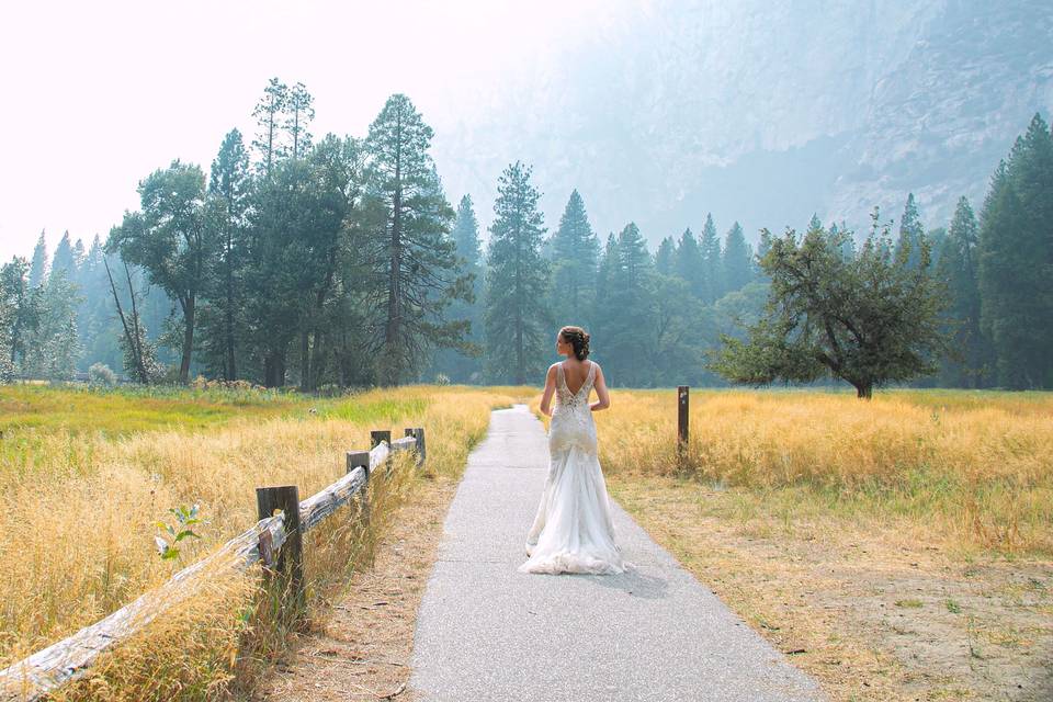 Strolling in the Meadow