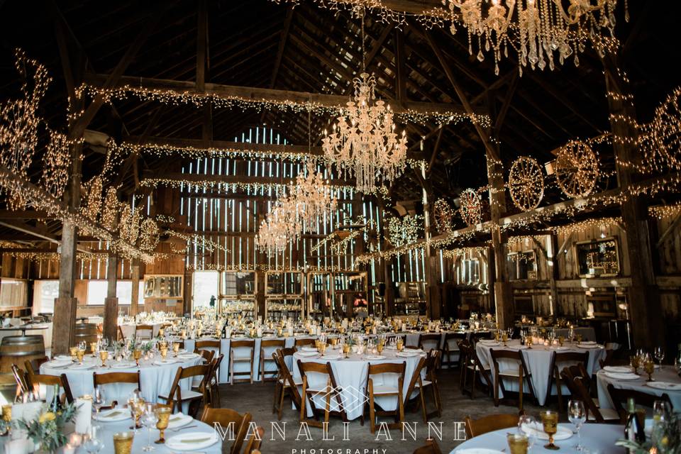 Reception space with chandeliers