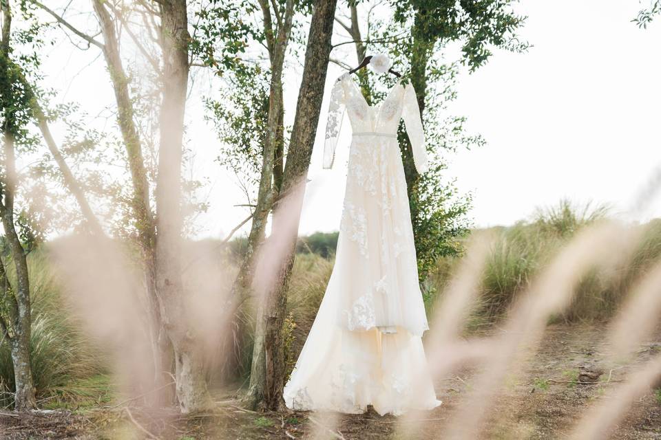 The wedding gown - Jesse Giles Photography