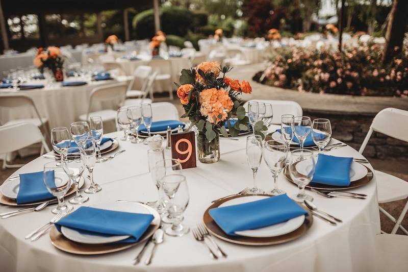Carollo Wedding 2019