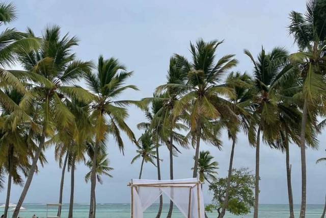 Beach Private Party Punta Cana