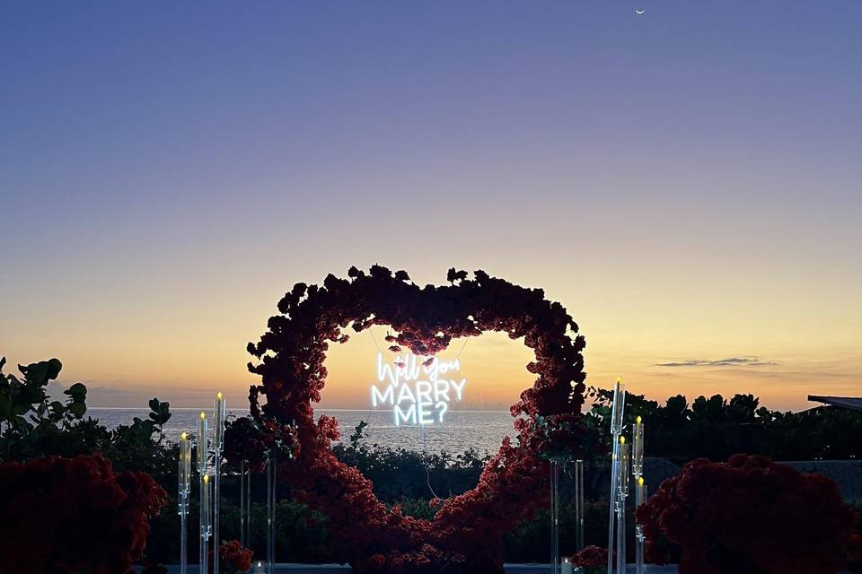 Will You Marry Me?