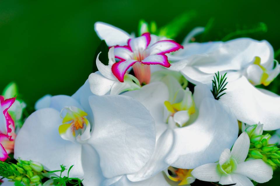 Tropical Bouquet