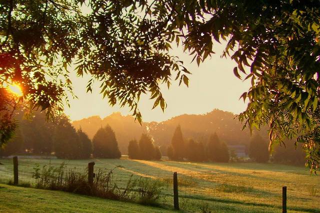 Greenspot Farms