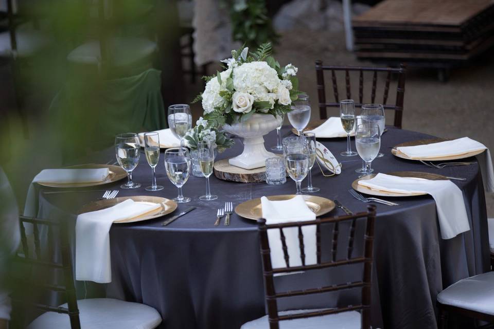 Kelly Mc Events