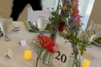 Place Card Example