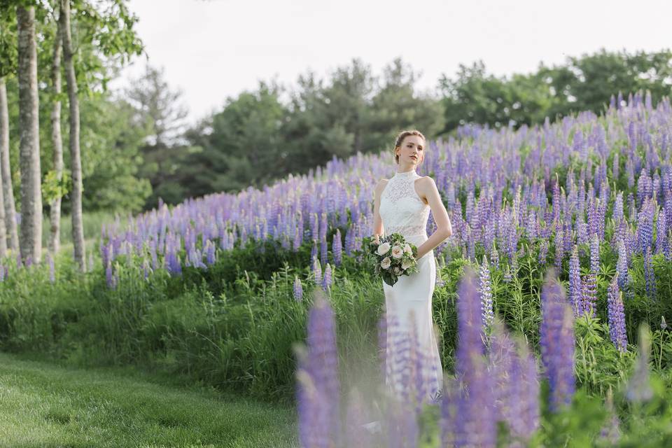 Beech Hill Barn