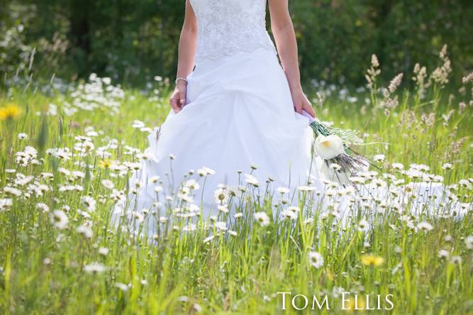 Mountain Meadow Wedding