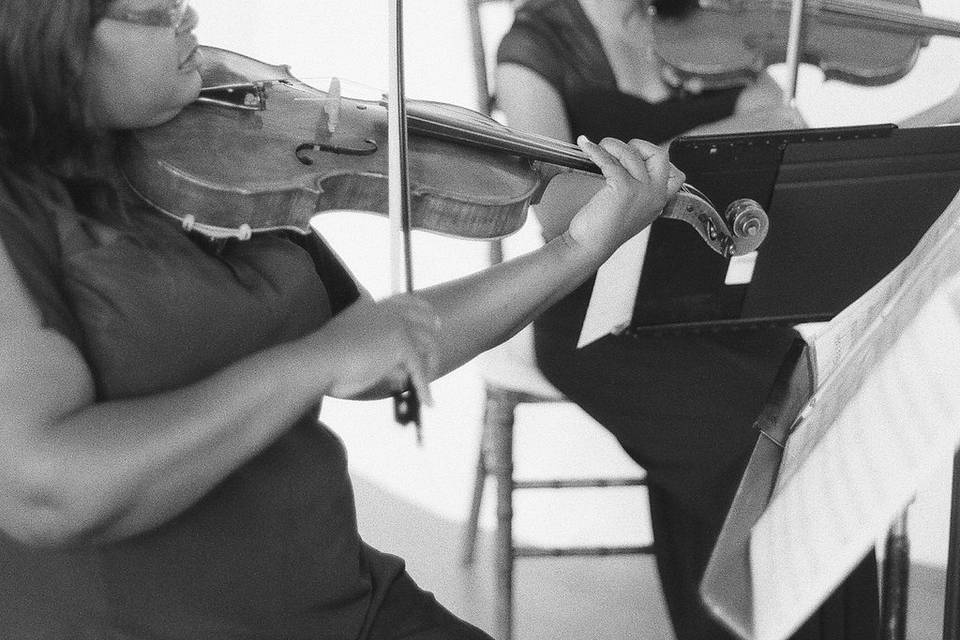 String duo - violin and viola