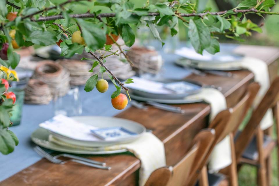 Orchard Tablescape