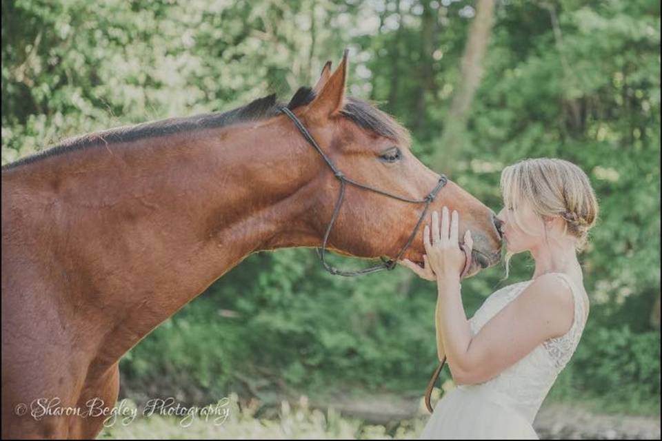 Bride kissing horse