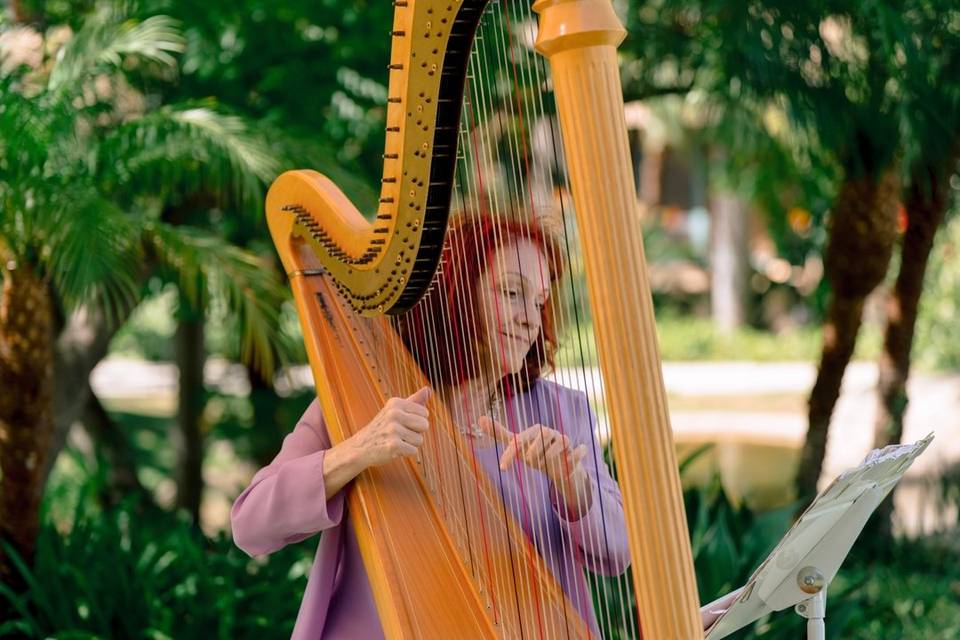 Harpist