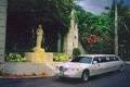 CAPTIVA LIMOUSINE