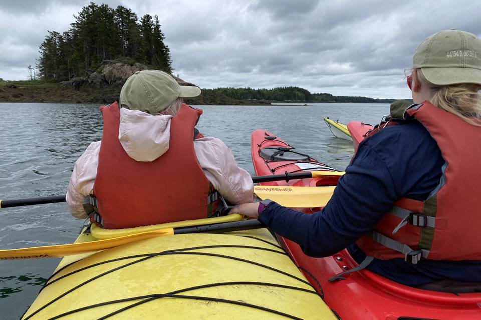 Kayaking Whiting Bay