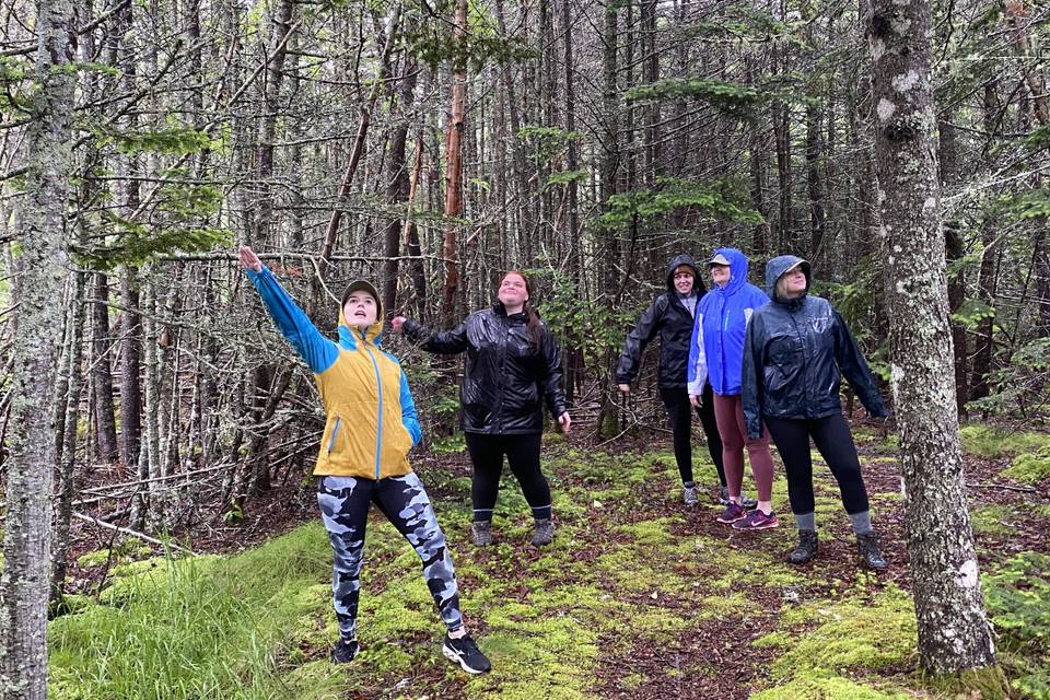 Hiking in Quoddy Head